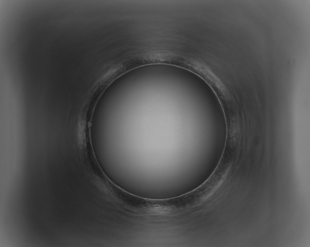 X0000100750585200806261545