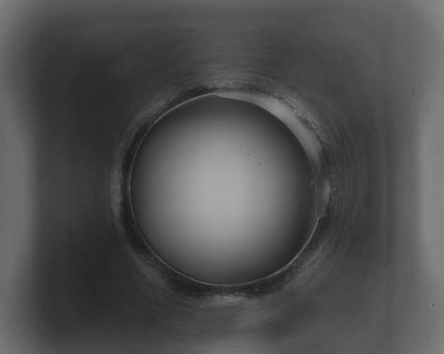 X0000100750586200806261545