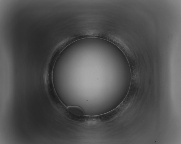 X0000100750587200806261545