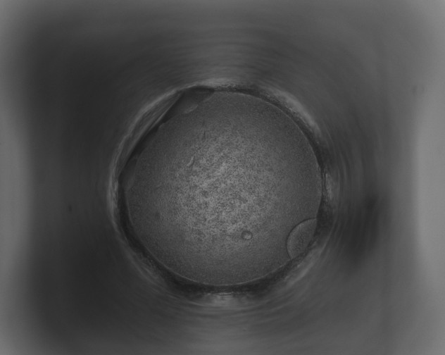 X0000100750588200806261545