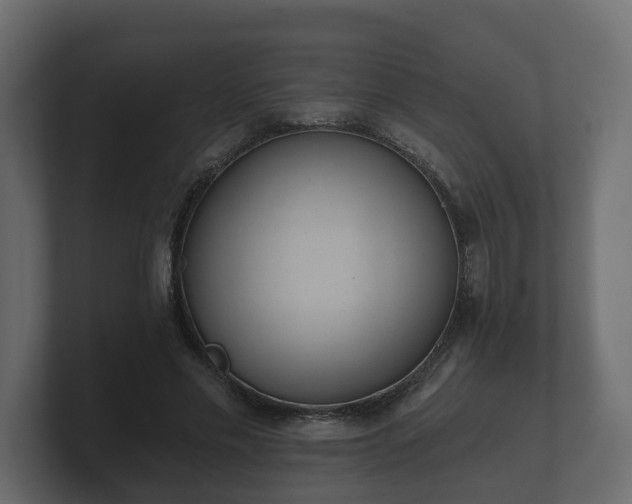 X0000100750589200806261545