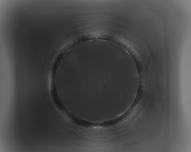 X0000100750590200806261545