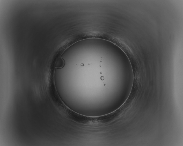 X0000100750591200806261545