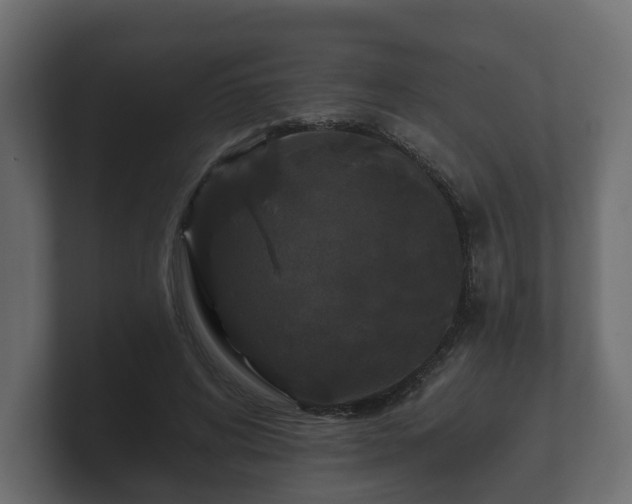 X0000100750592200806261545