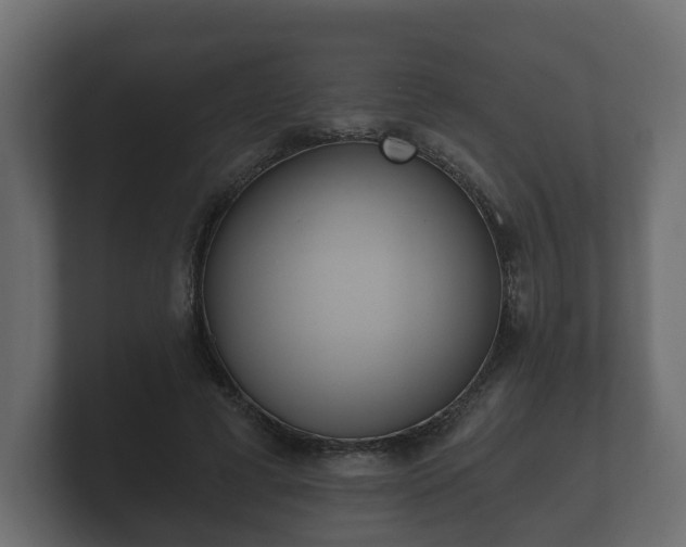 X0000100750593200806261545