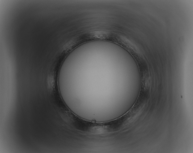 X0000100750595200806261545