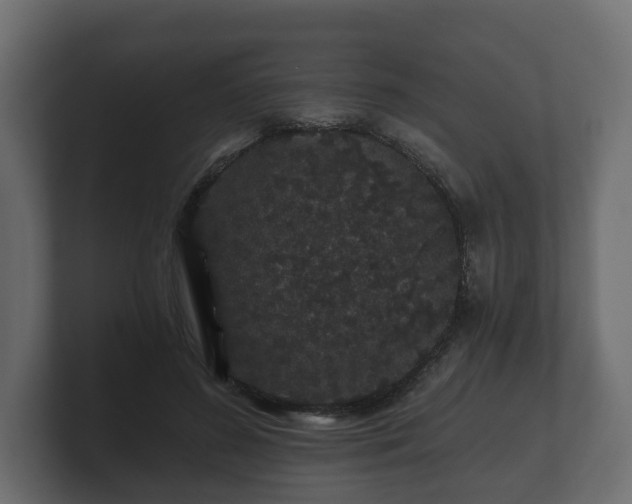 X0000100750596200806261545