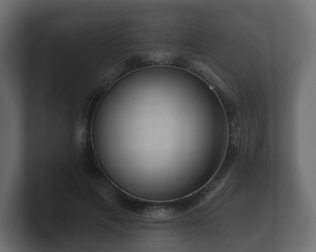 X0000100750597200806261545