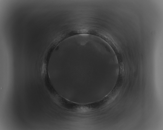 X0000100750598200806261545