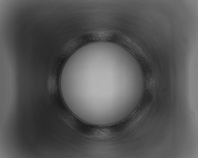 X0000100750599200806261545