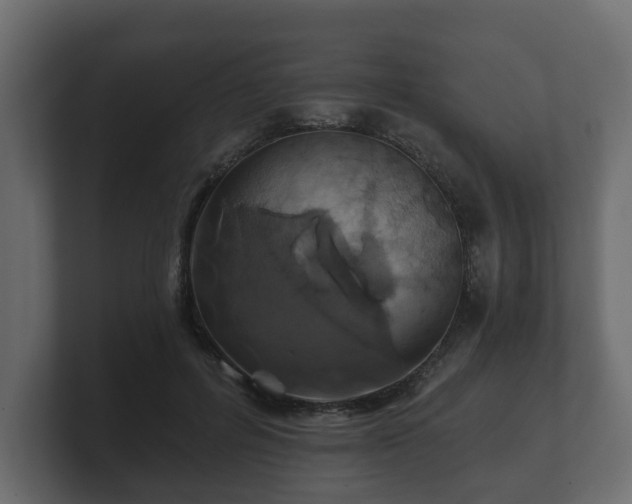 X0000100750600200806261545