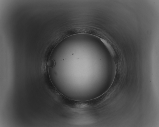 X0000100750602200806261545