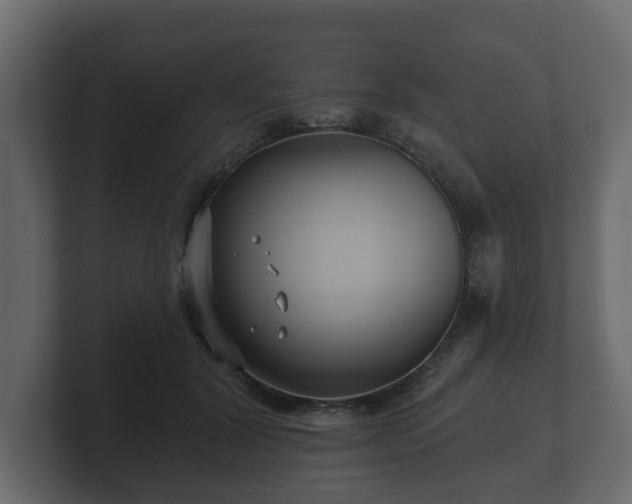 X0000100750604200806261545