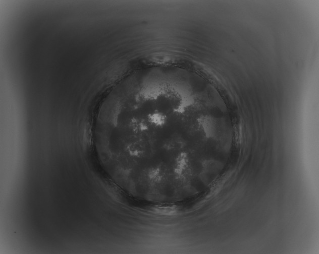 X0000100750606200806261545