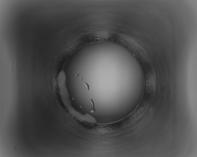 X0000100750608200806261545