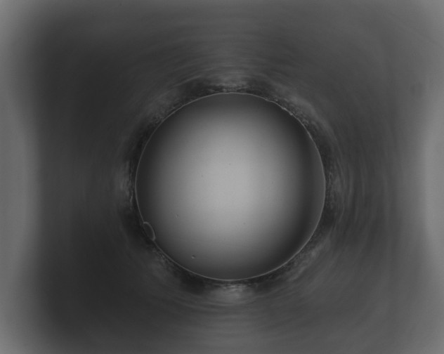 X0000100750609200806261545