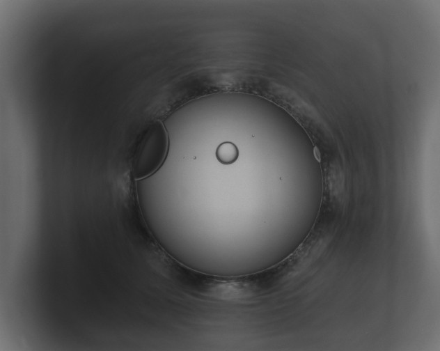 X0000100750611200806261545