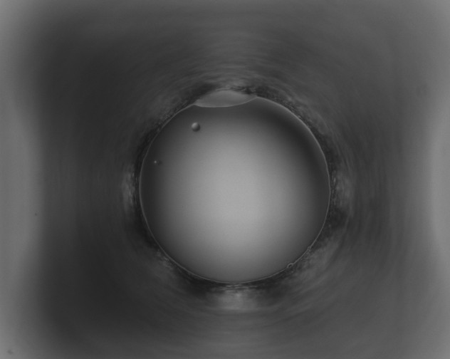 X0000100750612200806261545