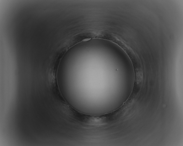 X0000100750613200806261545