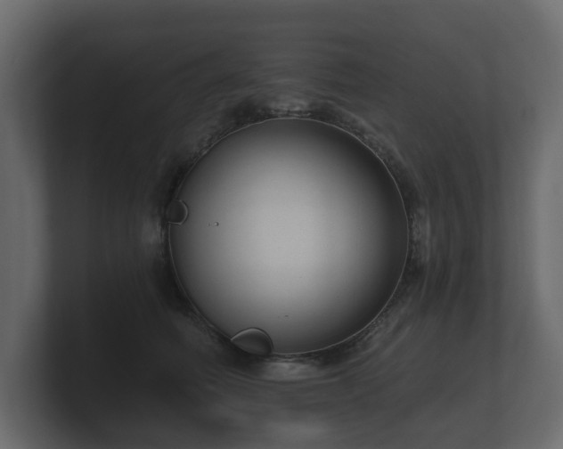 X0000100750614200806261545