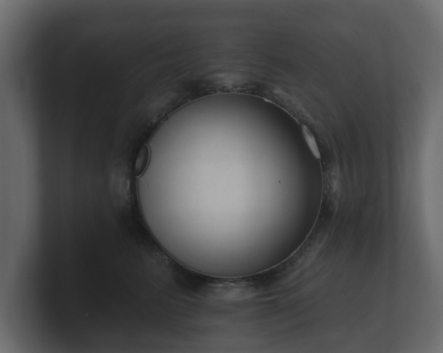 X0000100750615200806261545