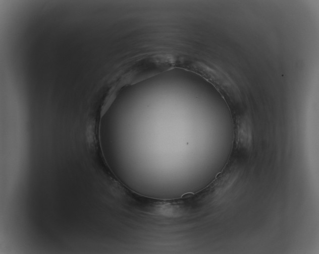 X0000100750616200806261545