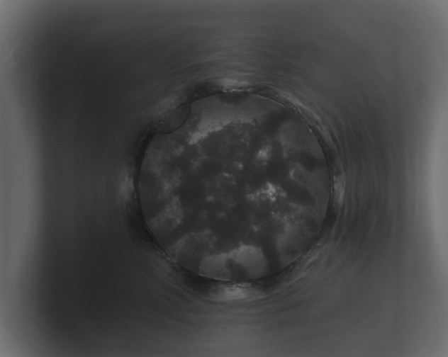 X0000100750618200806261545