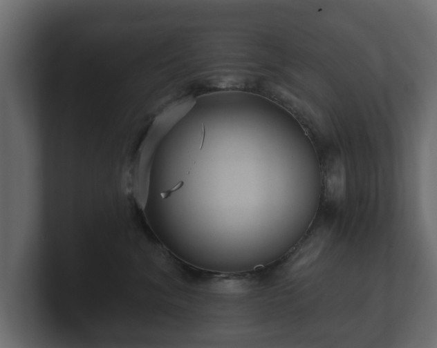 X0000100750620200806261545