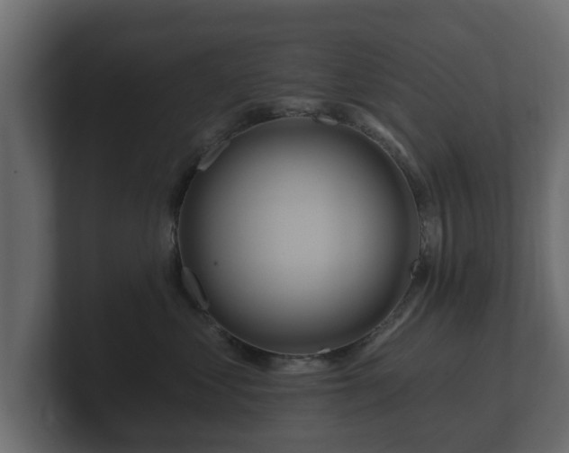 X0000100750621200806261545