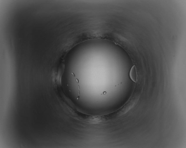 X0000100750624200806261545