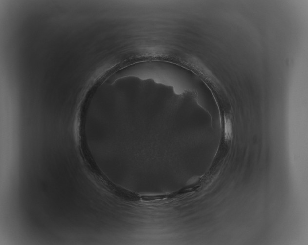 X0000100750627200806261544