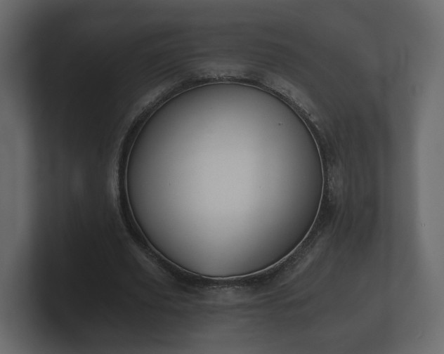 X0000100750629200806261544