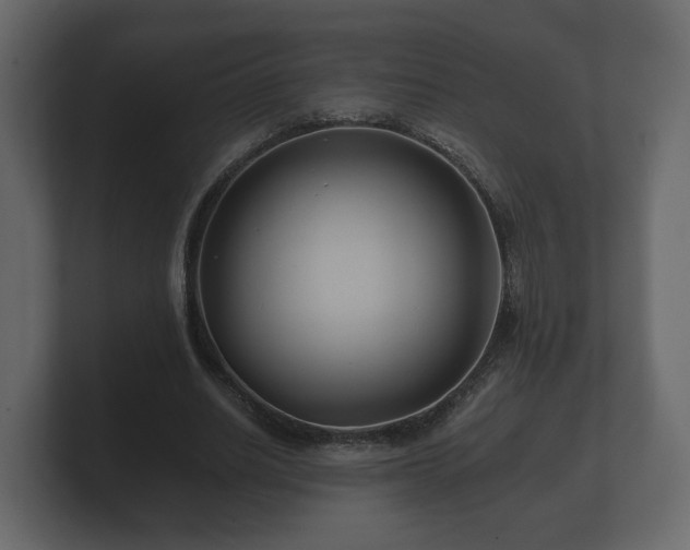 X0000100750630200806261544