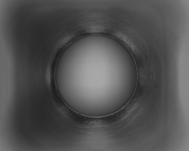 X0000100750631200806261544