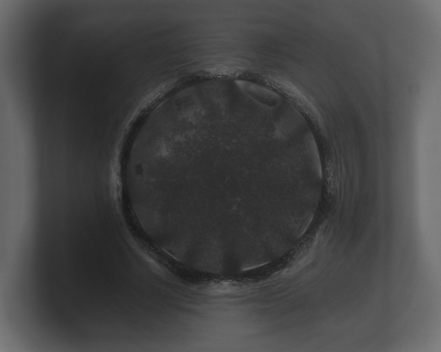 X0000100750634200806261544