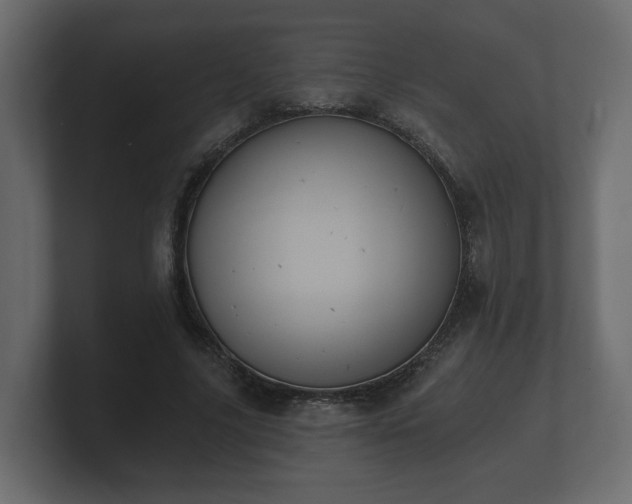 X0000100750635200806261544