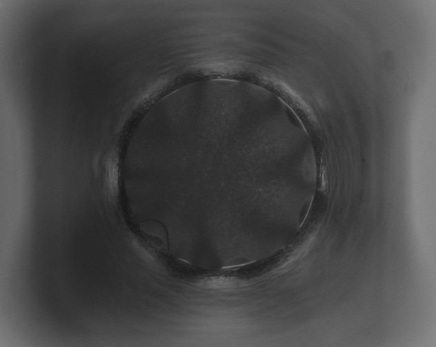 X0000100750637200806261544