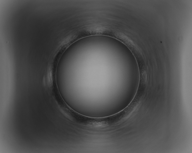 X0000100750638200806261544