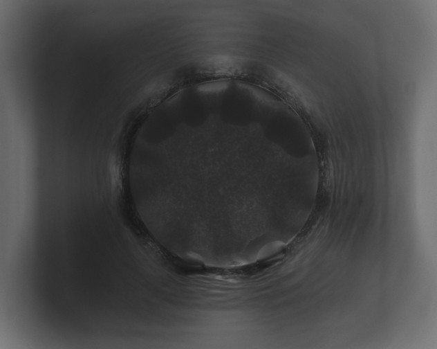 X0000100750643200806261545