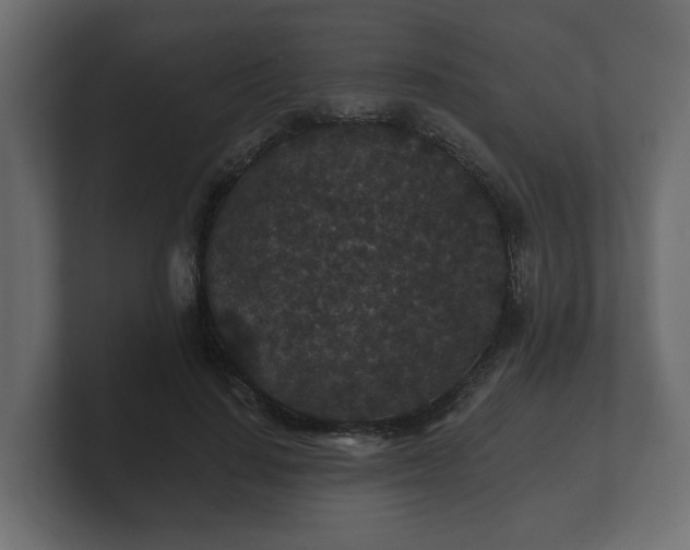 X0000100750644200806261545