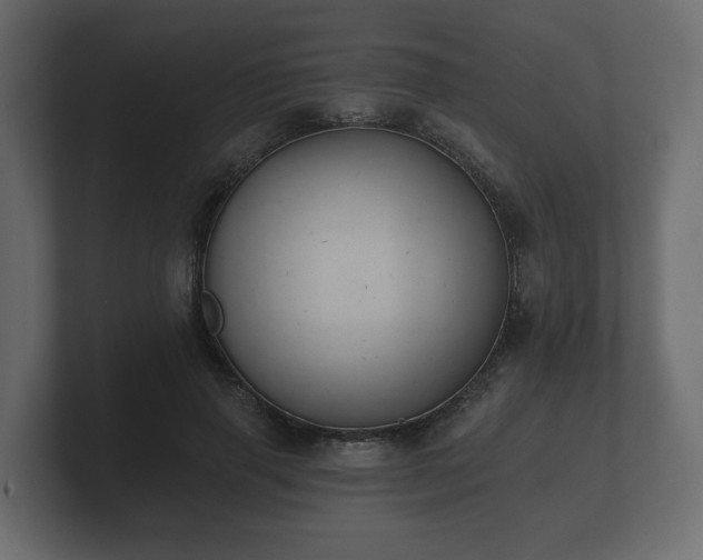 X0000100750645200806261545