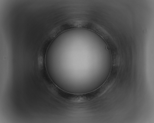 X0000100750646200806261545