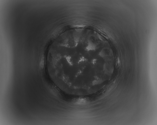 X0000100750647200806261545