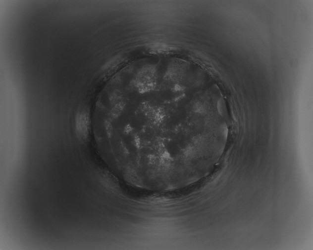 X0000100750648200806261545