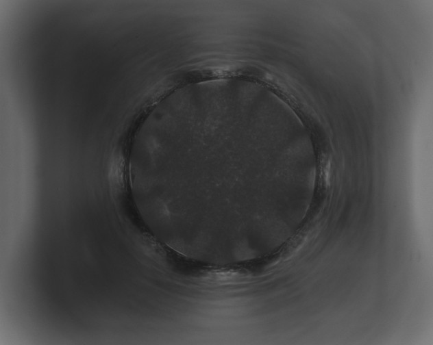 X0000100750650200806261545