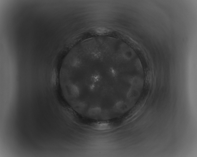 X0000100750651200806261545