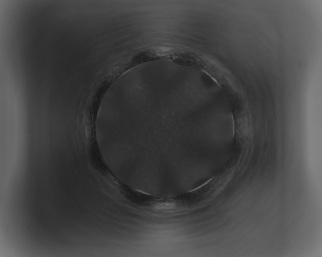 X0000100750653200806261545