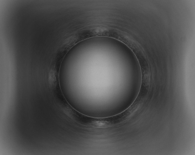 X0000100750654200806261545