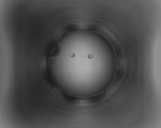 X0000100750655200806261545