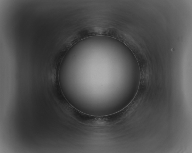 X0000100750656200806261545